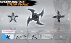 Screenshot Ninja's Creed