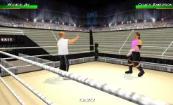 Screenshot Wrestling Revolution 3D
