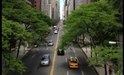 Screenshot Photo Editor