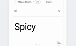 Screenshot Naver Papago - AI Translator