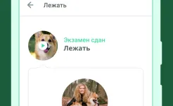 Screenshot Дого - Дрессировка Собак