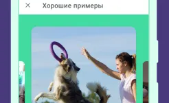 Screenshot Дого - Дрессировка Собак