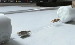 Screenshot Ant Sim Tycoon