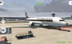 Screenshot Flight Simulator Advanced