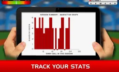 Screenshot Stick Cricket Classic