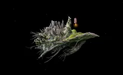 Screenshot Samorost 1