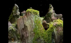Screenshot Samorost 1