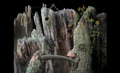 Screenshot Samorost 1