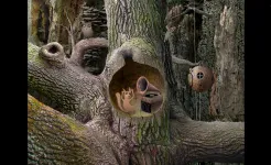 Screenshot Samorost 1