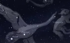 Screenshot Stellarium Mobile - карта неба