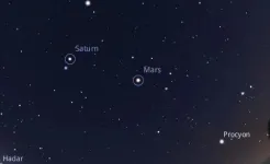 Screenshot Stellarium Mobile - карта неба