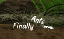 Screenshot Finally Ants