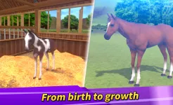 Screenshot Derby Life