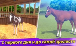 Screenshot Derby Life