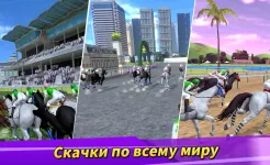 Screenshot Derby Life