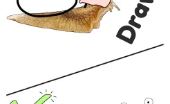 Screenshot DOP: Draw One Part