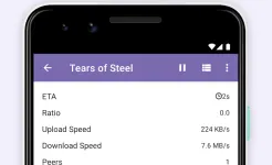 Screenshot BitTorrent Pro