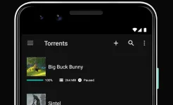 Screenshot BitTorrent Pro