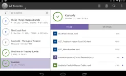 Screenshot BitTorrent Pro