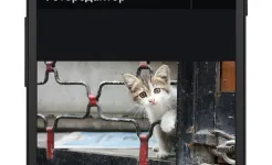 Screenshot Яндекс.Диск