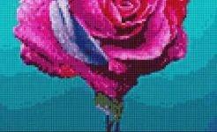 Screenshot Вышивка крестом: Cross Stitch