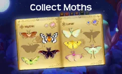 Screenshot Flutter Starlight