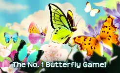 Screenshot Flutter: Butterfly Sanctuary