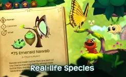 Screenshot Flutter: Butterfly Sanctuary