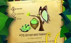 Screenshot Flutter: Butterfly Sanctuary