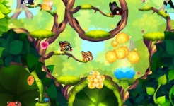 Screenshot Flutter: Butterfly Sanctuary