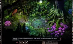 Screenshot Siege of Dragonspear
