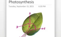 Screenshot Microsoft OneNote: Save Notes