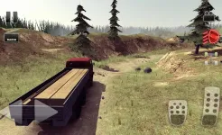 Screenshot Truck Driver crazy road
