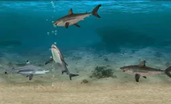 Screenshot Fish Farm