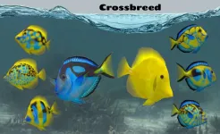 Screenshot Fish Farm 2