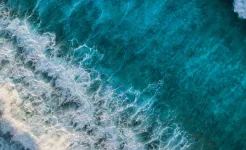 Screenshot 250+ Коллекция пасьянсов