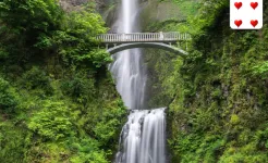 Screenshot 250+ Коллекция пасьянсов