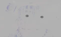 Screenshot Five Nights at Freddy's 3
