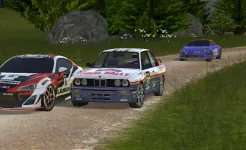 Screenshot Final Rally