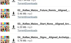 Screenshot FrostWire: Torrent Downloader & Music Player