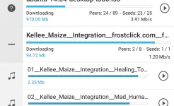 Screenshot FrostWire: Torrent Downloader & Music Player
