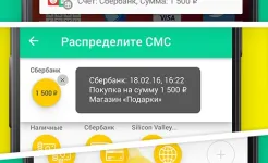 Screenshot CoinKeeper: учет расходов