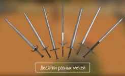 Screenshot Slash of Sword - Арена