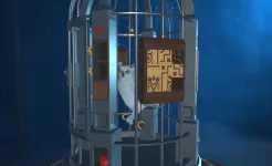 Screenshot The Birdcage 2