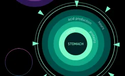 Screenshot Elevate - Brain Training