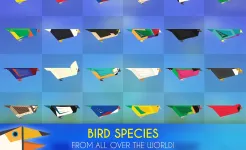 Screenshot Paper Wings