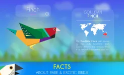 Screenshot Paper Wings