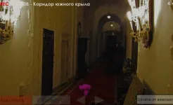 Screenshot Пять Ночей с Фрогги 2