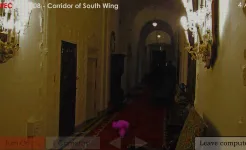 Screenshot Пять Ночей с Фрогги 2