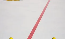 Screenshot Car Safety Check